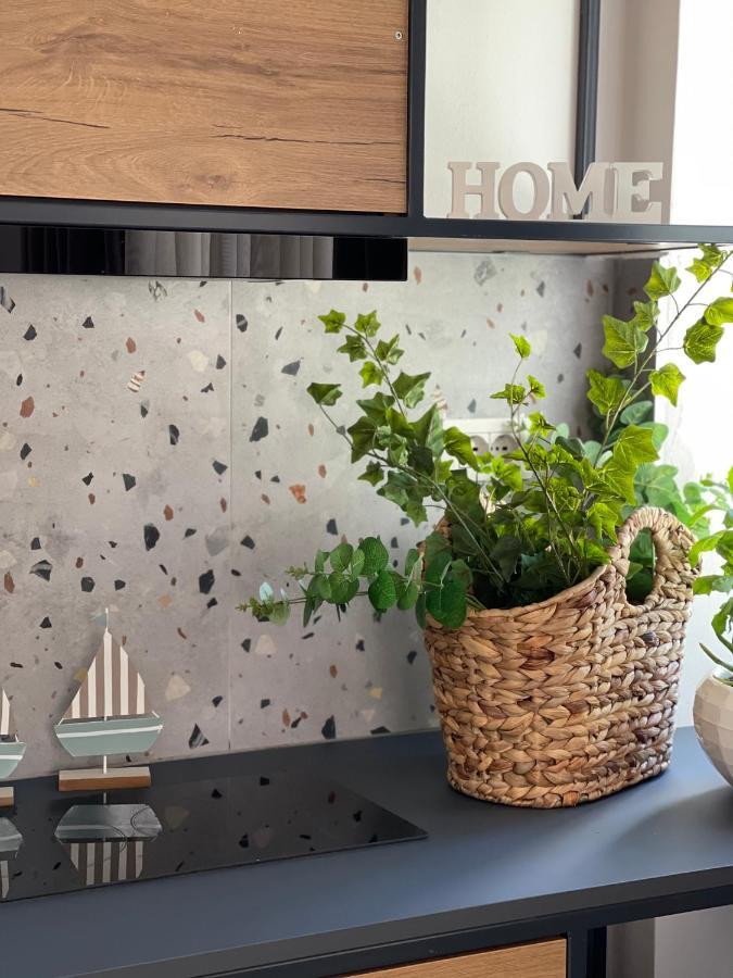 סרנדה Vela Apartaments 4 מראה חיצוני תמונה